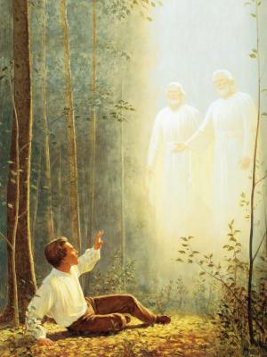 The First Vision by Gary L. Kapp