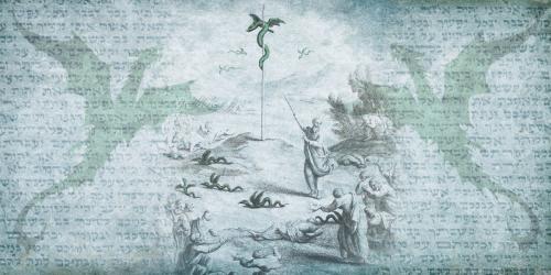 Image by Book of Mormon Central